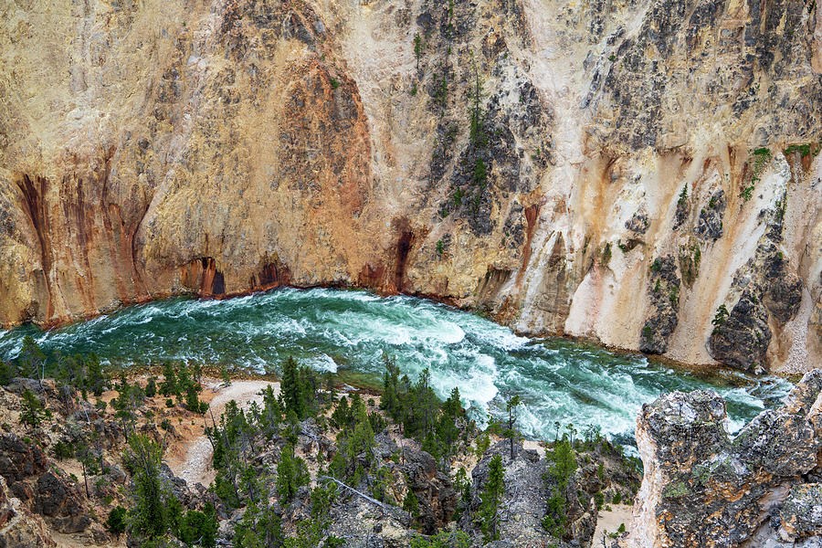 Looking 1000 into the Grand Canyon of the Yellowstone Photograph by Rose Guinther