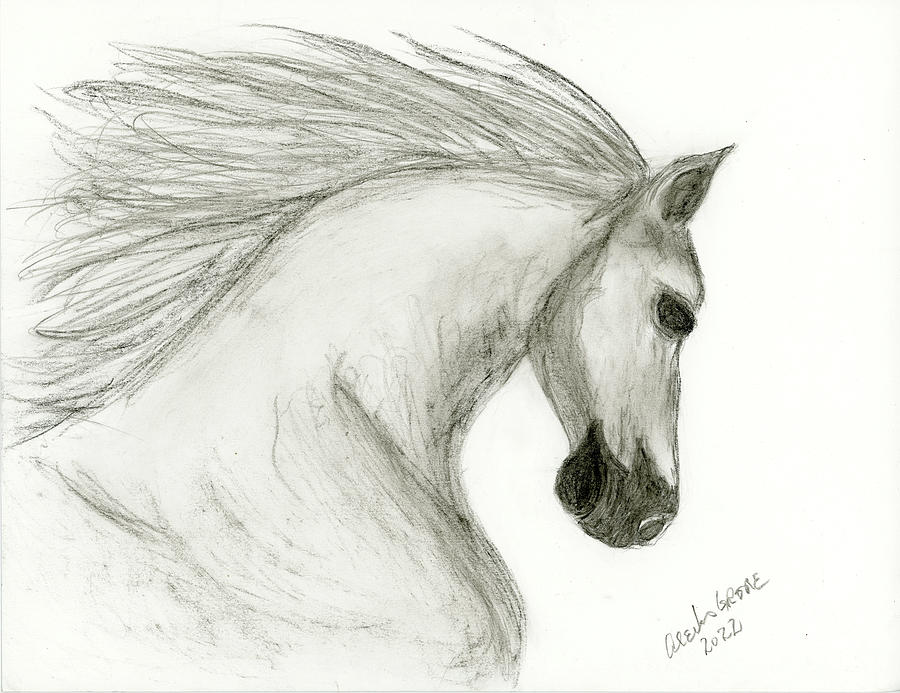 Horse Drawing - Looking Back by Alexis Grone