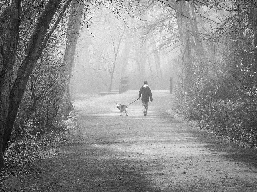 Looking Back Photograph by Matthew Pecorella - Fine Art America