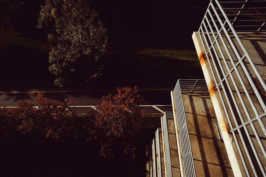 Looking Down Photograph by Ada Weyland