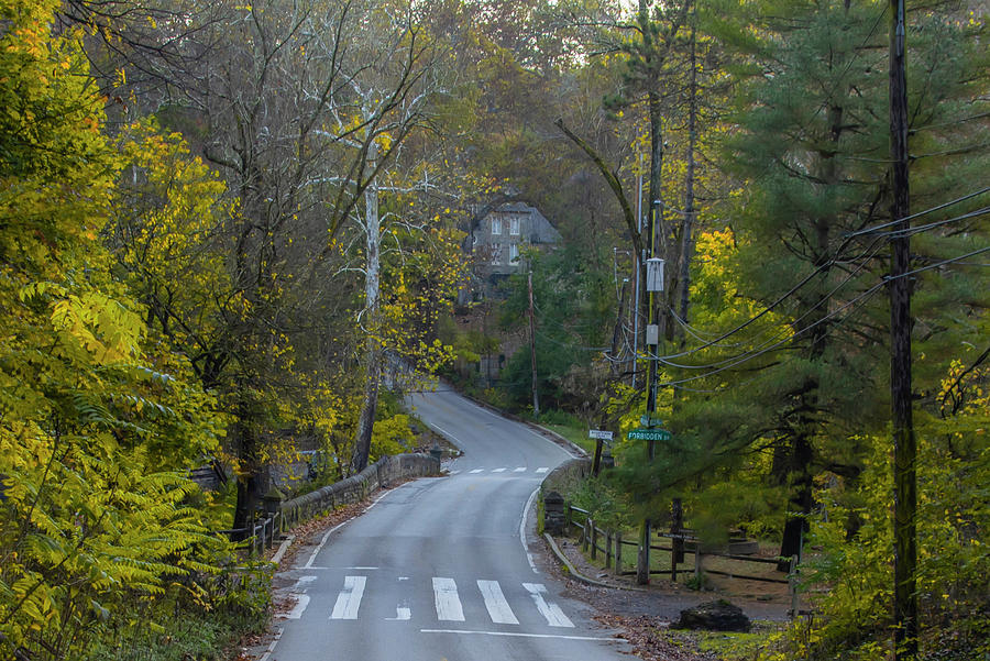 Looking Down Bells Mill Rd in Autumn Photograph by Bill Cannon