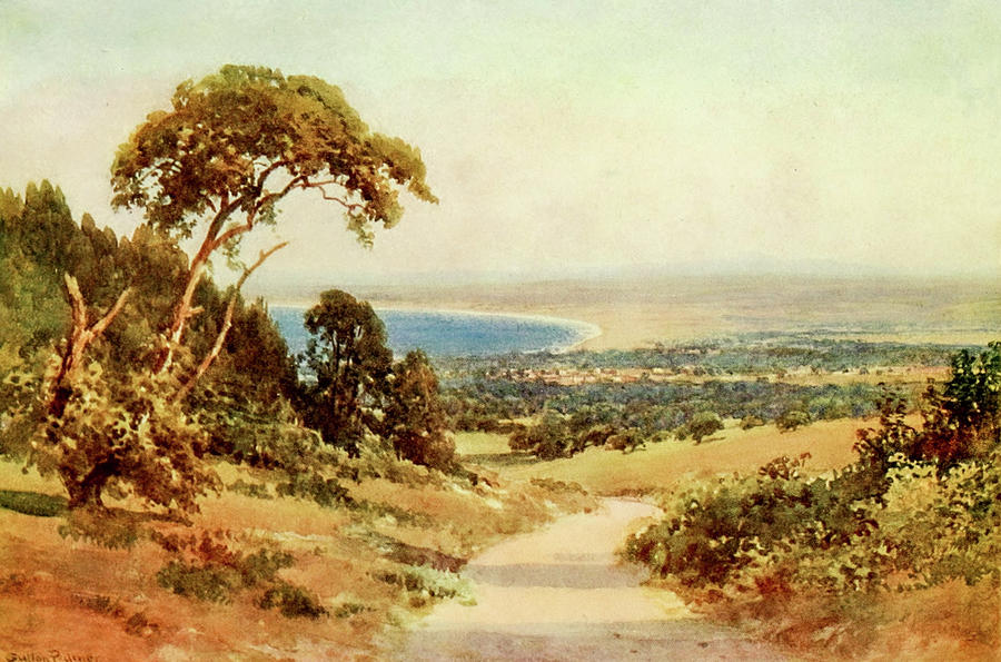 Vintage Painting - Looking down on Monterey and the Bay, California 1914 by Sutton Palmer