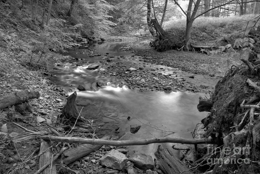 Looking Down On Toms Run Black And White Photograph by Adam Jewell