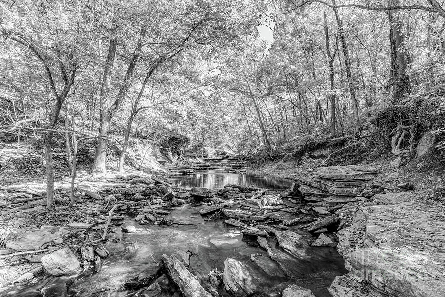 Looking Down Tanyard Creek Grayscale Photograph by Jennifer White