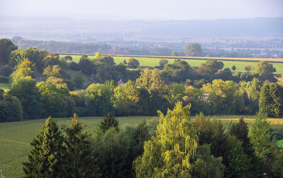Tree Photograph - Looking down the Weser Valley by Juergen Hess
