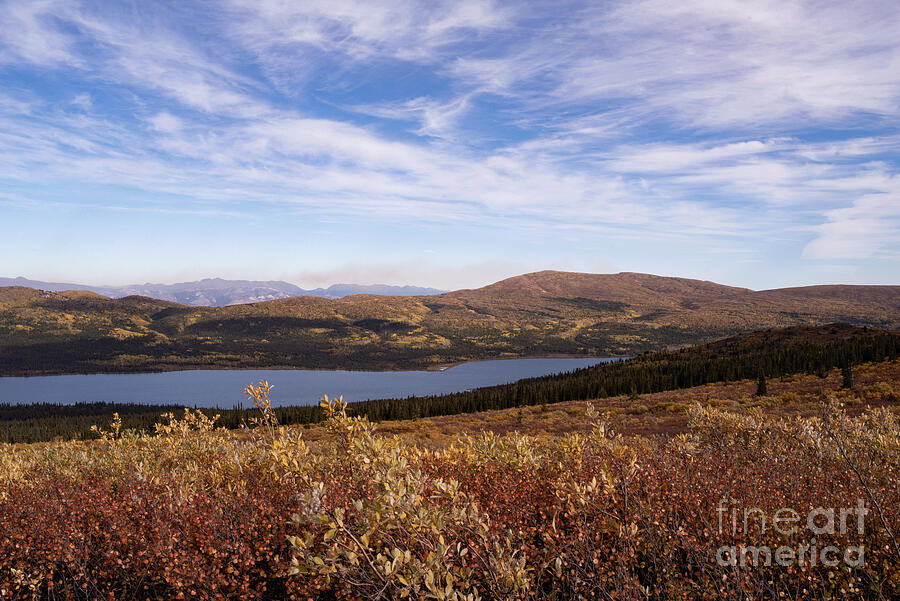 Looking east over Fish Lake Photograph by David Jennings Looking east over Fish Lake Photograph by David Jennings