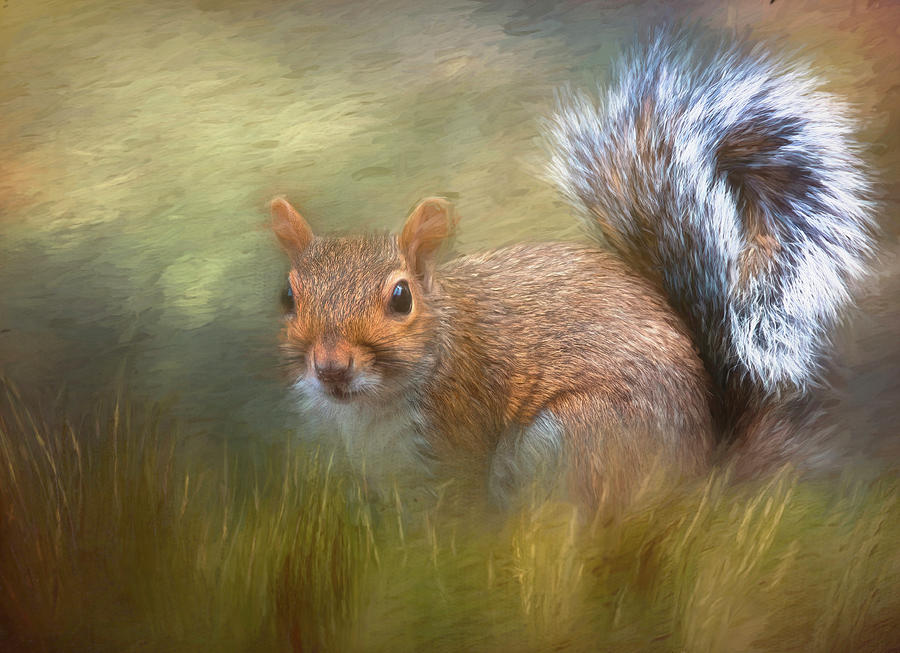 Looking for a nut Mixed Media by Steven Richardson