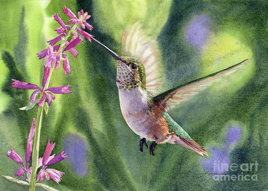 Hummingbird Painting - Looking for Nectar by Lorraine Watry