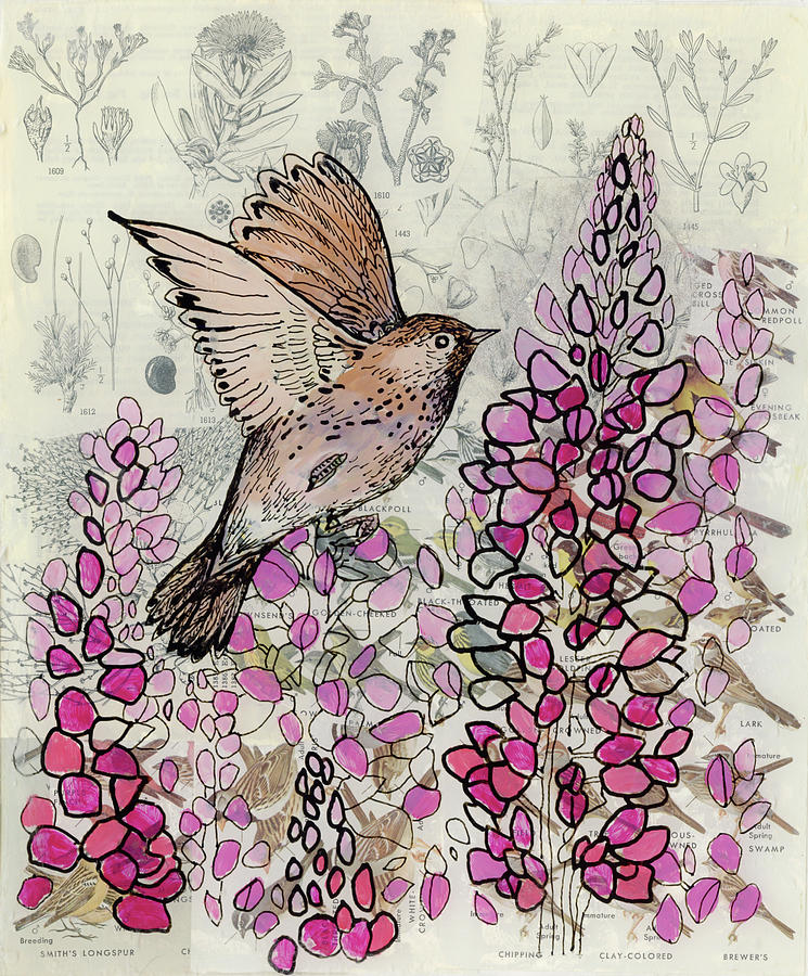 Warbler Mixed Media - Looking for the Magic by Jennifer Lommers