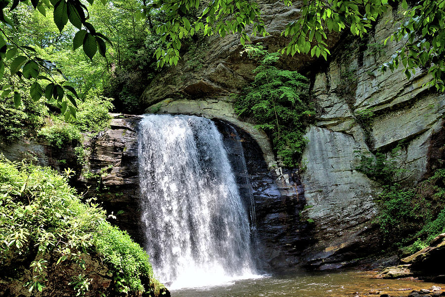 Looking Glass Falls 5 Photograph by John Trommer - Fine Art America