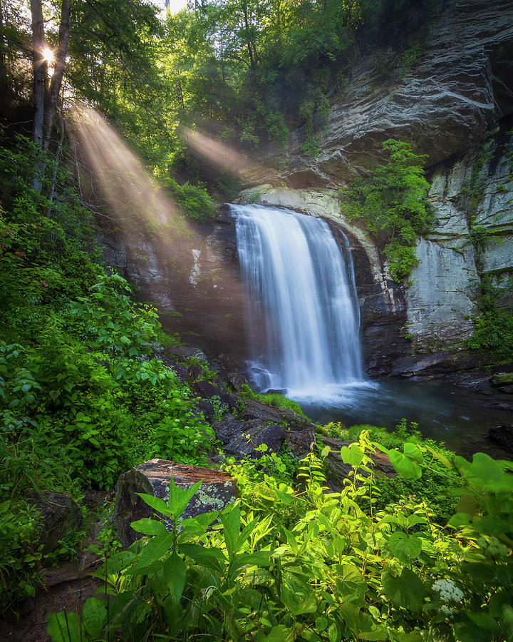 Nature Photograph - Looking Glass Falls at Dawn by Adam Romanowicz