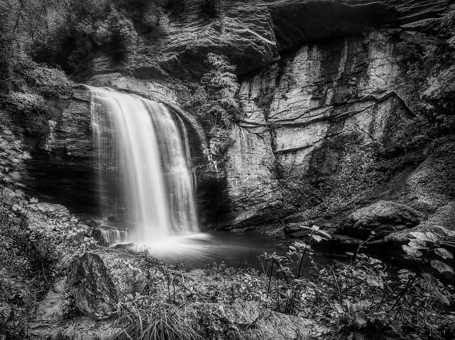 Waterfall Photograph - Looking Glass Falls Black and White by Judy Vincent