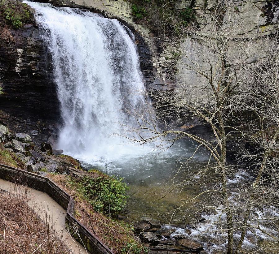 Looking Glass Falls Photograph by Franklin Baker - Fine Art America