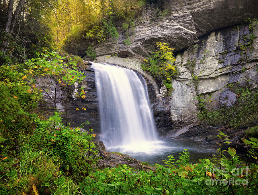 Looking Glass Falls in Autumn 2 Photograph by Shelia Hunt
