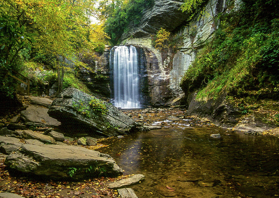 Looking Glass Falls in Autumn Photograph by James C Richardson