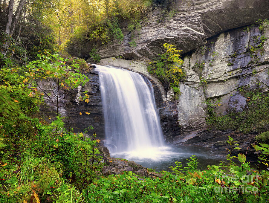 Looking Glass Falls in Autumn Photograph by Shelia Hunt