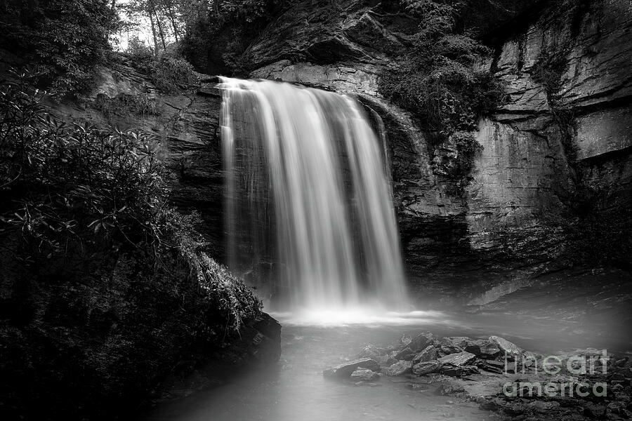 Looking Glass Falls in Black and White Photograph by Shelia Hunt