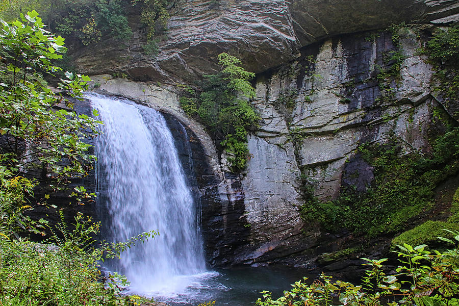 Looking Glass Falls Photograph By Jeff Roney - Fine Art America