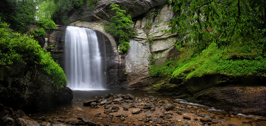 Looking Glass Falls Photograph by Mark Papke