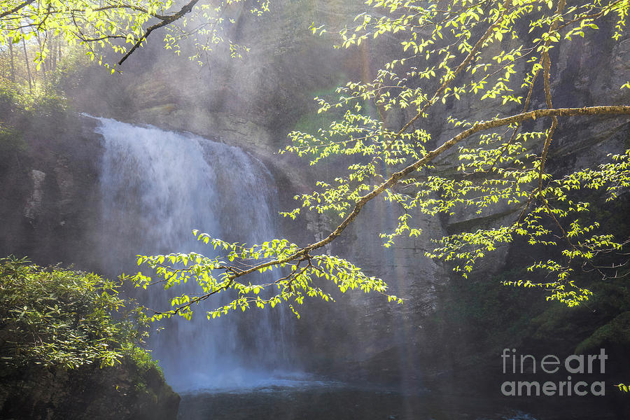 Looking Glass Falls, North Carolina II Photograph by Felix Lai