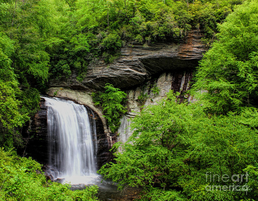 Landscape Photograph - Looking Glass Falls by Rosanna Life
