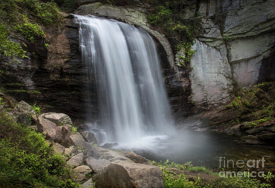 Looking Glass Falls Photograph by Shelia Hunt