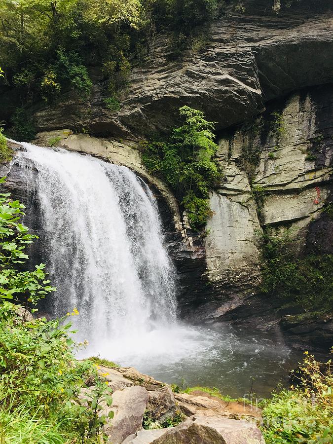 Looking Glass Waterfall Photograph By Tina M Powell - Fine Art America