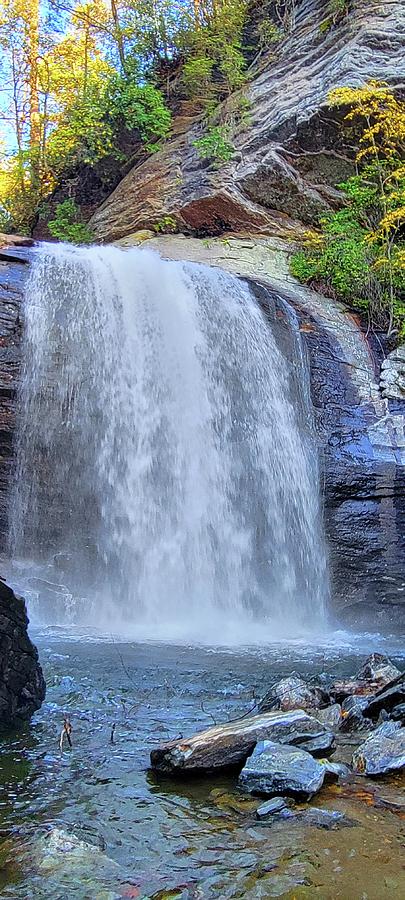 Looking Glass Waterfalls Photograph by Ally White - Pixels