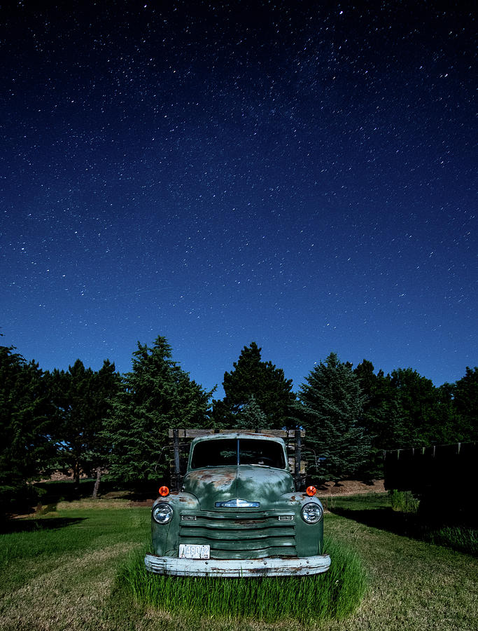 Looking Good Under the Stars Photograph by Marcy Wielfaert
