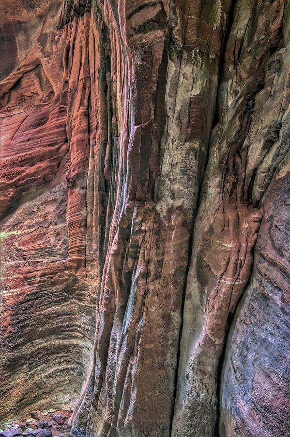 Zion National Park Photograph - Looking into the Depth of the Canyon by Heidi Fickinger