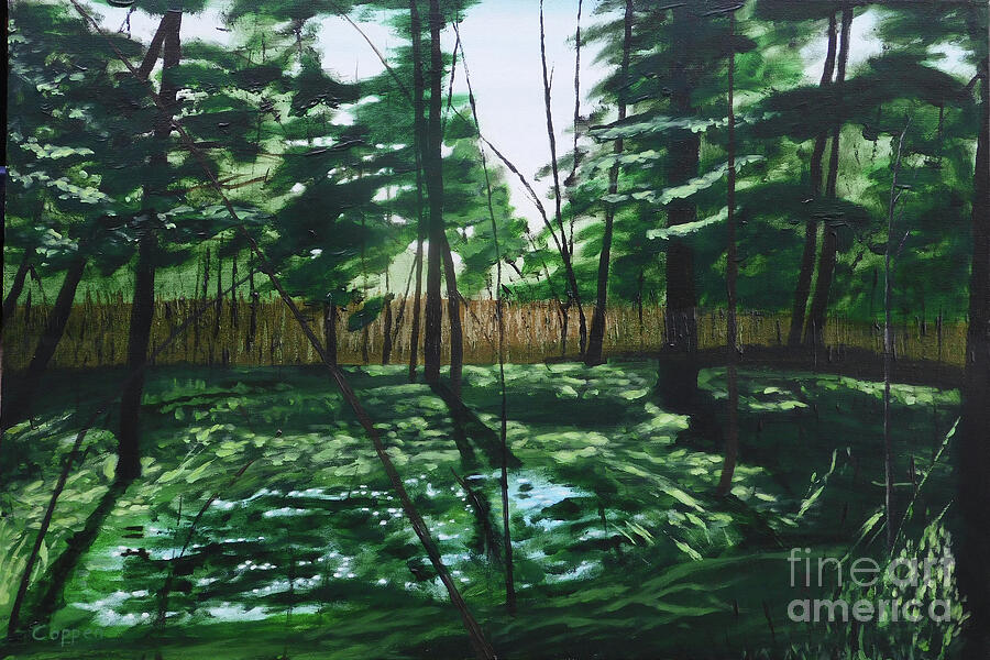Looking into the Swamp Painting by Robert Coppen