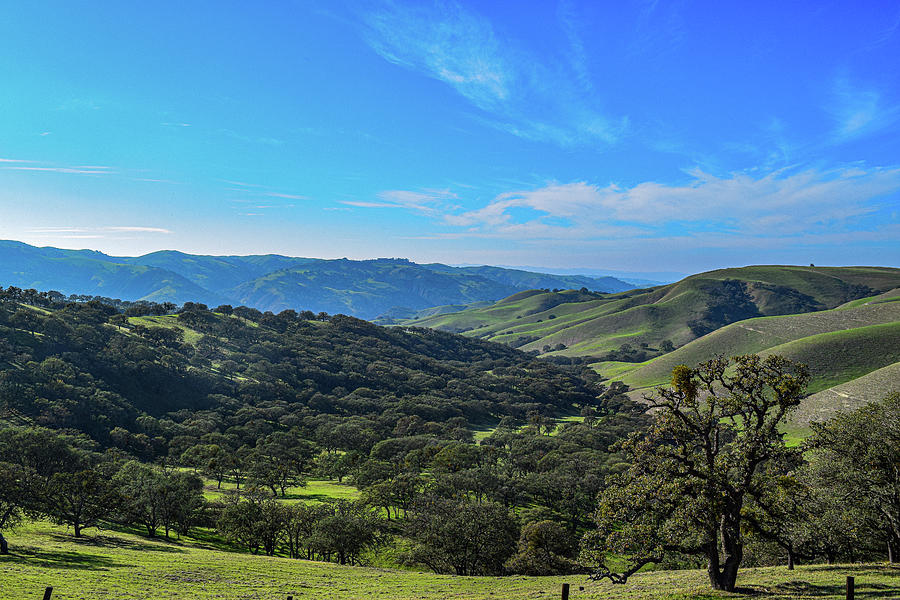 Looking North - Del Valle Regional Park Photograph by Luke Collins ...