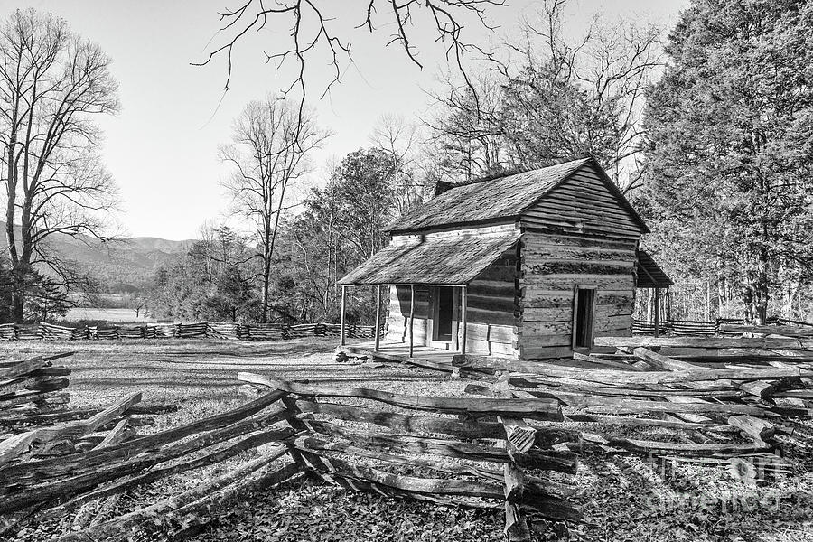 Nature Photograph - Looking Out from John Olivers Cabin - BW by Scott Pellegrin