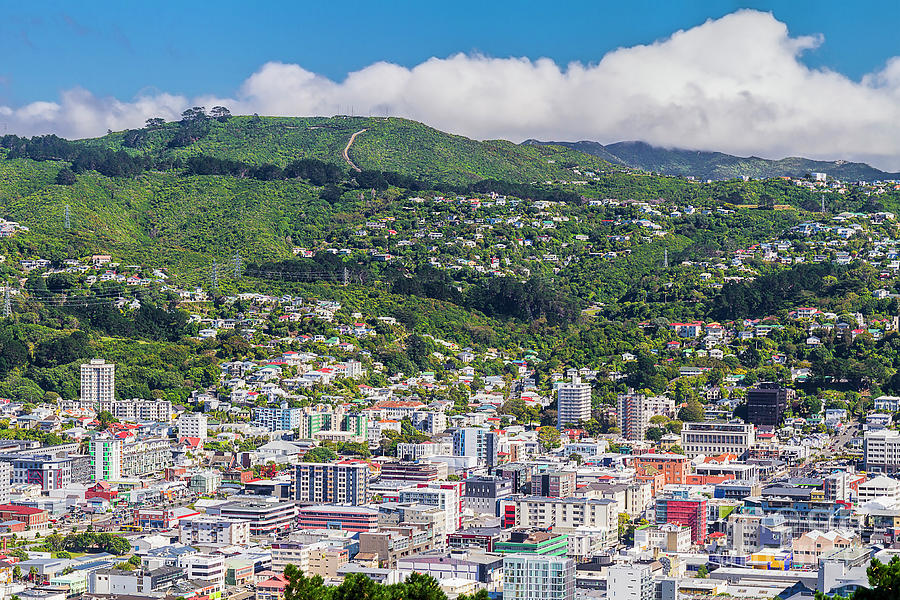 Looking Over Wellington, New Zealand #2 Photograph by Elaine Teague