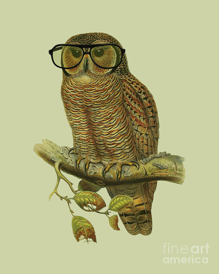 Owl Digital Art - Looking Smart Mister Owl by Madame Memento