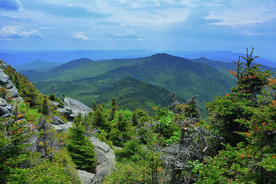Looking South from the Start of the Alpine Zone on Camels Hump Photograph by Raymond Salani III