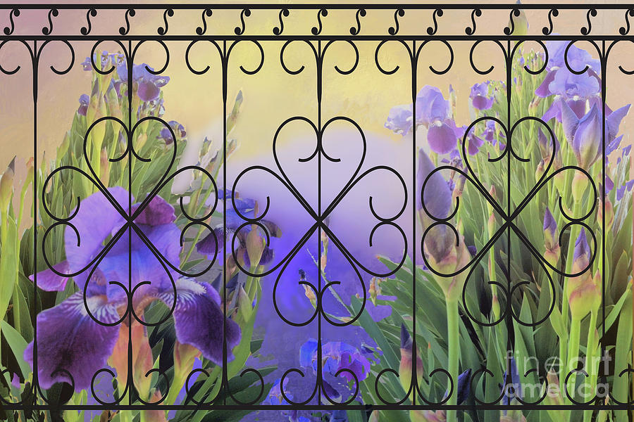 Iris Mixed Media - Looking through the Fence by Janette Boyd