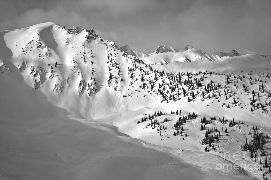 Looking Toward Ozone Black And White Photograph by Adam Jewell