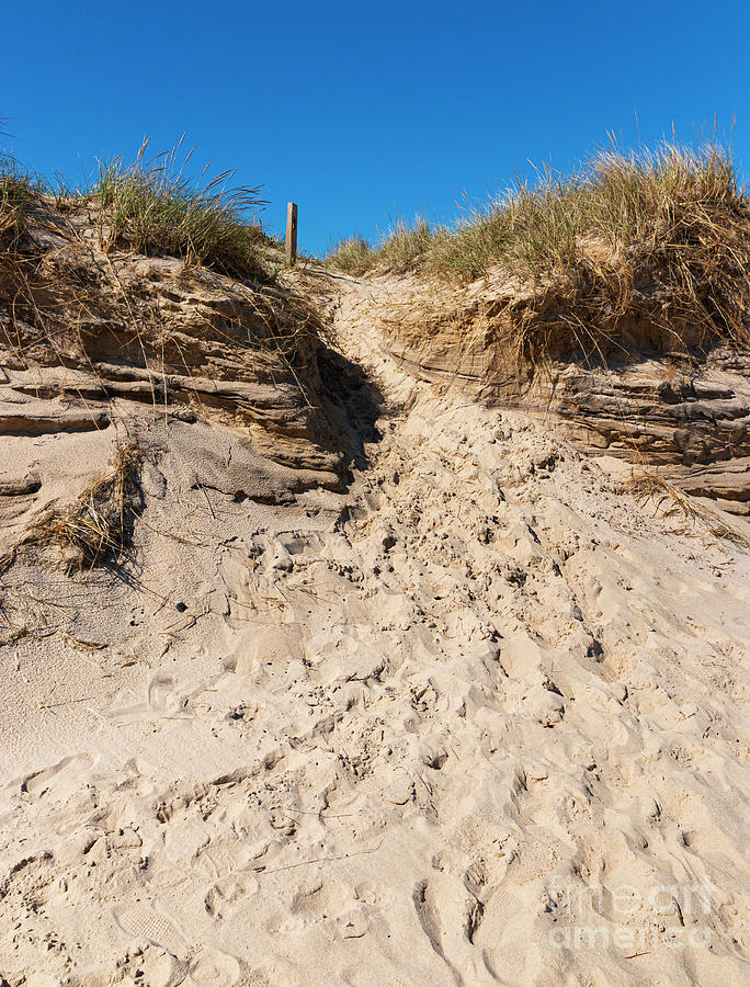 Looking Up A Sand Dune At Montauk Beach With Footprints From Peo Photograph By David Wood