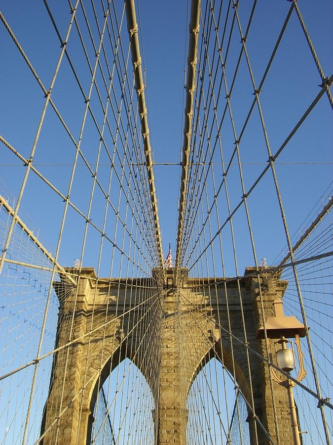 Looking Up at Brooklyn Bridge 1 Photograph by Tanya White