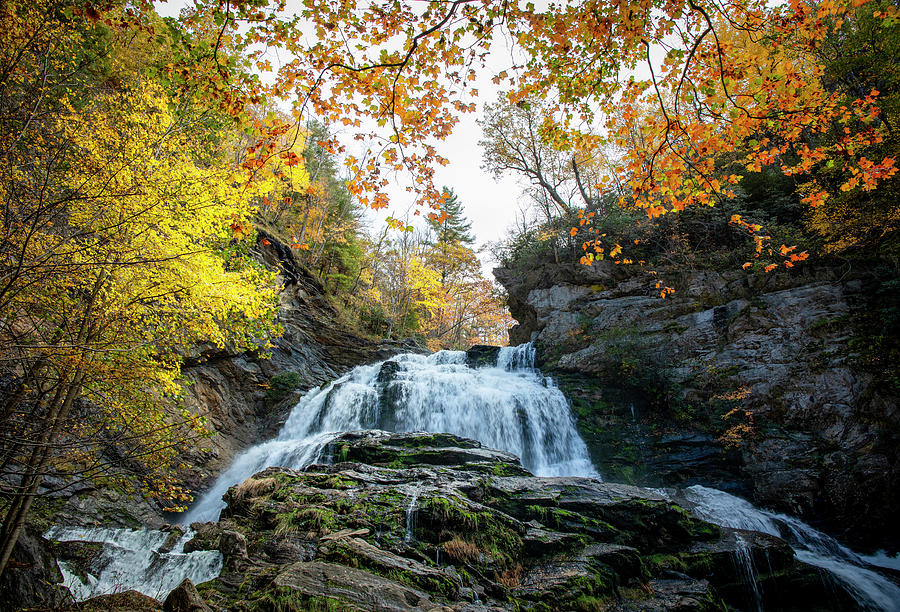 Looking Up At Cullasaja Falls In Autumn Photograph by Dan Sproul