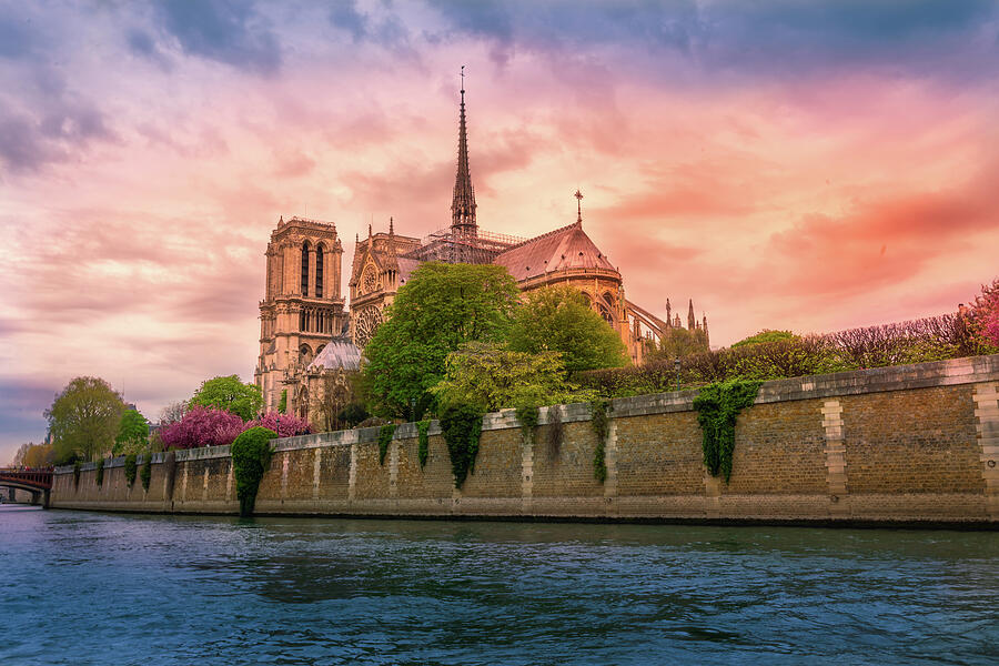 Looking Up at Notre Dame Photograph by John Wright Looking Up at Notre Dame Photograph by John Wright