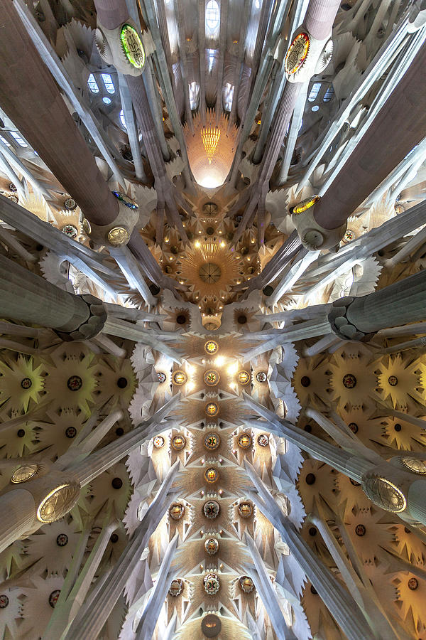Looking Up at the Ceiling of la Sagrada Familia Photograph by W Chris Fooshee