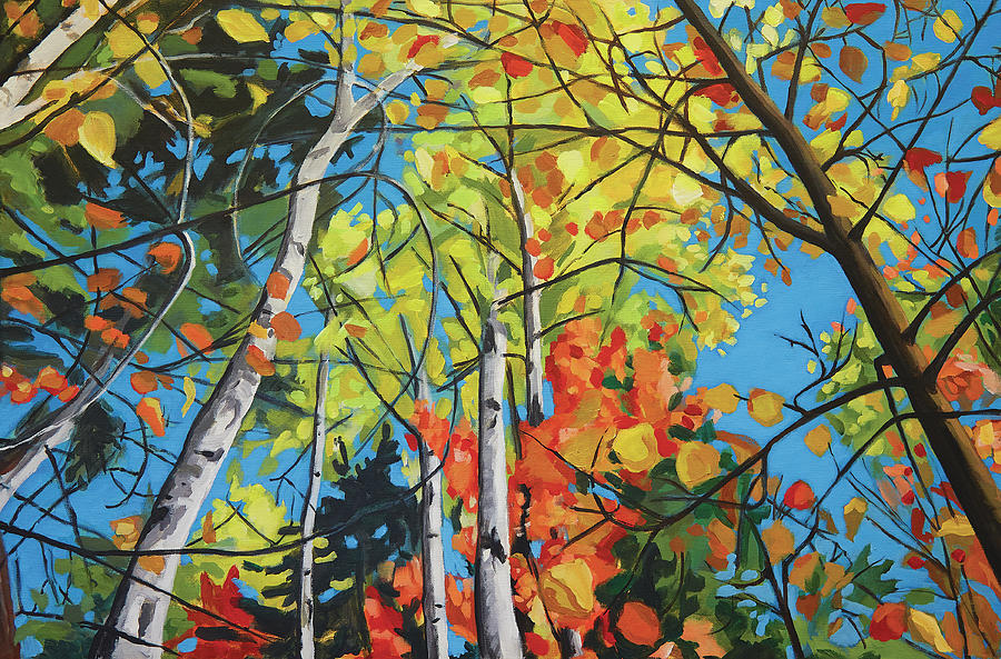 Fall Painting - Looking Up Fall by Gisele D Thompson