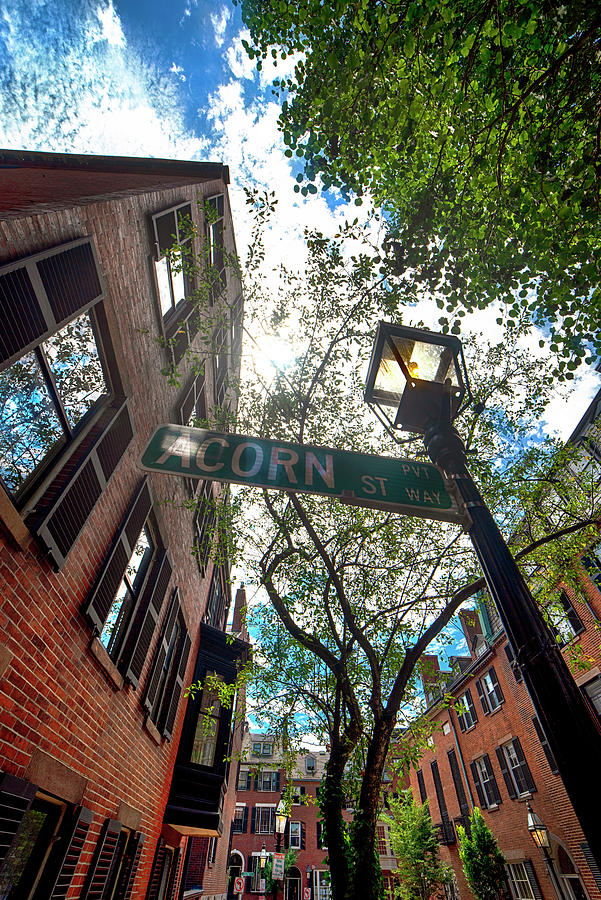 Looking Up On Acorn Street Photograph