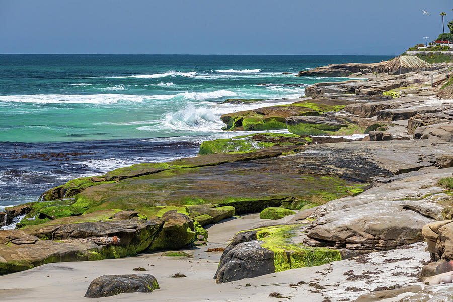 Looking up the Coast - La Jolla Photograph by Peter Tellone