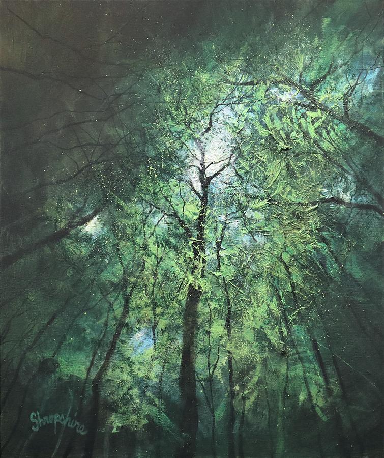 Looking Up Painting by Tom Shropshire