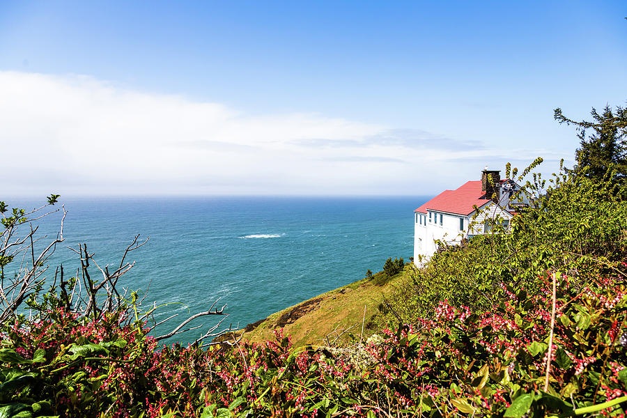 Lookout at Cape Foulweather Photograph by Aashish Vaidya