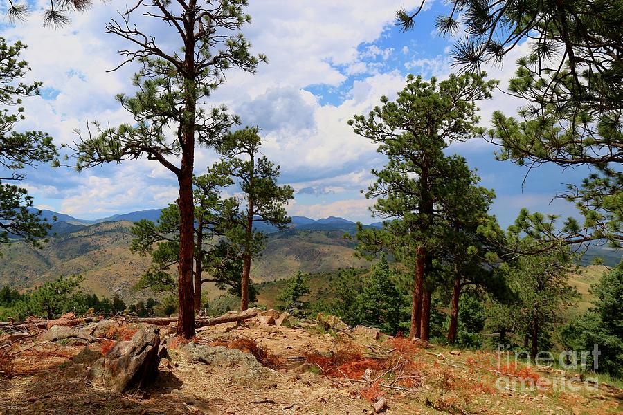Lookout Mountain Colorado Photograph by Veronica Batterson