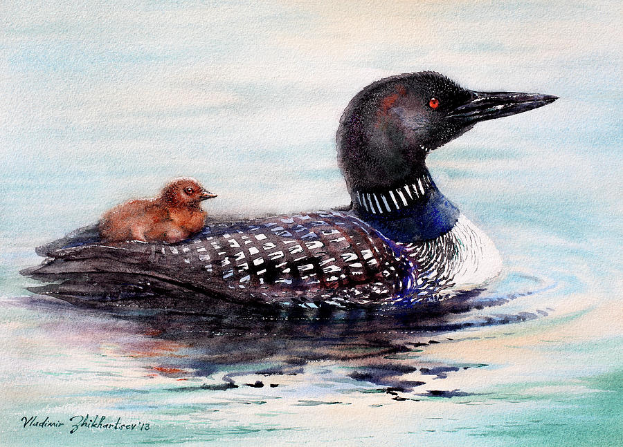 Loon And Chick Painting by Vladimir Zhikhartsev